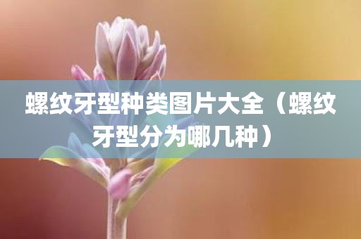 螺纹牙型种类图片大全（螺纹牙型分为哪几种）
