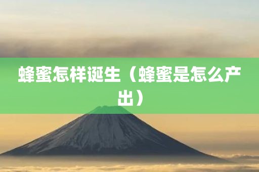 蜂蜜怎样诞生（蜂蜜是怎么产出）