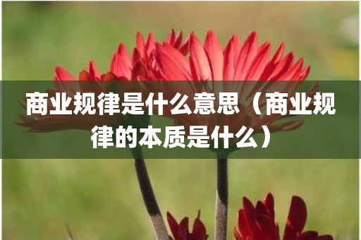 商业规律是什么意思（商业规律的本质是什么）