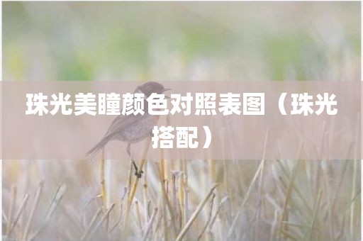 珠光美瞳颜色对照表图（珠光搭配）