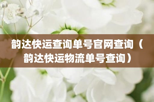 韵达快运查询单号官网查询(韵达快运物流单号查询)