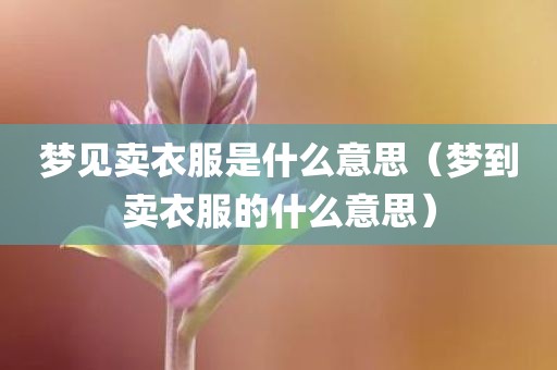 梦见卖衣服是什么意思（梦到卖衣服的什么意思）