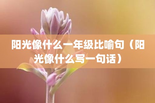 阳光像什么一年级比喻句（阳光像什么写一句话）