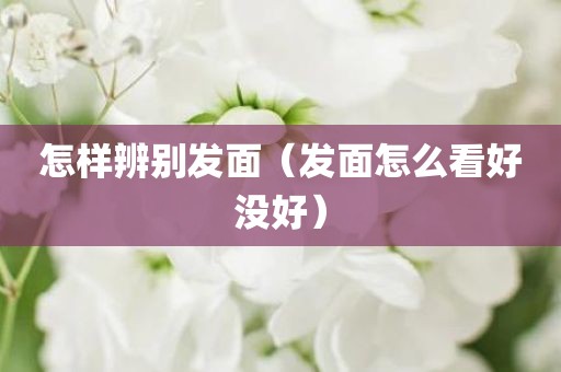 怎样辨别发面（发面怎么看好没好）
