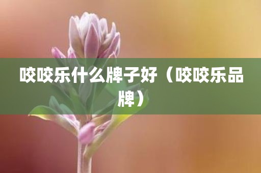 咬咬乐什么牌子好（咬咬乐品牌）