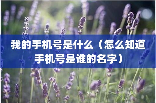 我的手机号是什么（怎么知道手机号是谁的名字）