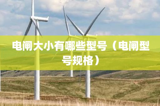 电闸大小有哪些型号（电闸型号规格）