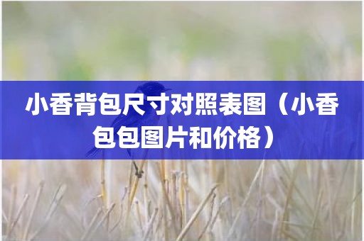 小香背包尺寸对照表图（小香包包图片和价格）