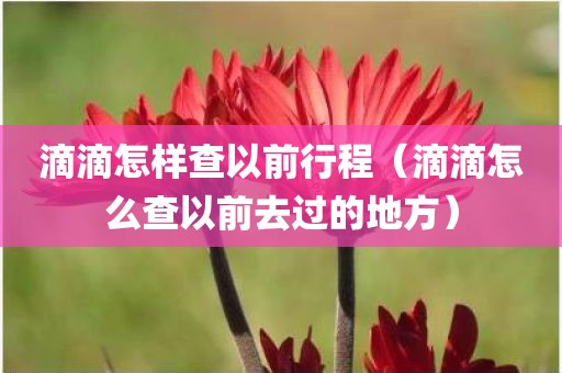 滴滴怎样查以前行程（滴滴怎么查以前去过的地方）