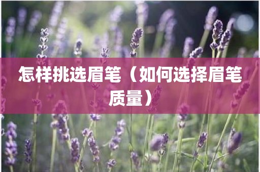 怎样挑选眉笔（如何选择眉笔质量）