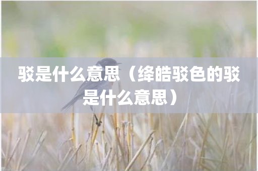驳是什么意思（绛皓驳色的驳是什么意思）