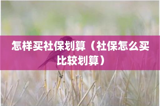 怎样买社保划算（社保怎么买比较划算）