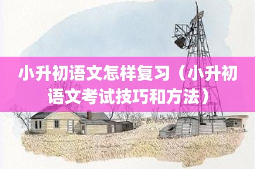 小升初语文怎样复习（小升初语文考试技巧和方法）