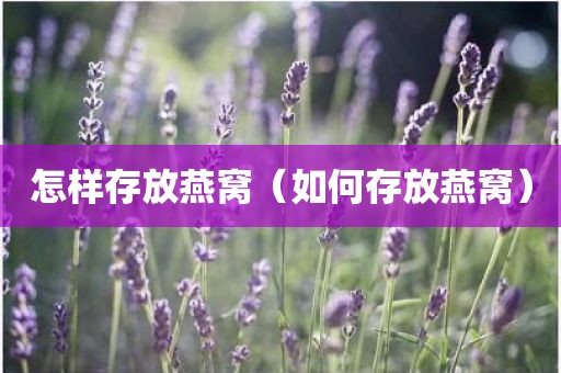 怎样存放燕窝（如何存放燕窝）