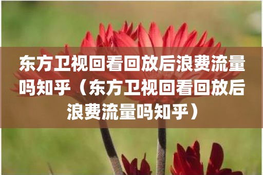 东方卫视回看回放后浪费流量吗知乎（东方卫视回看回放后浪费流量吗知乎）