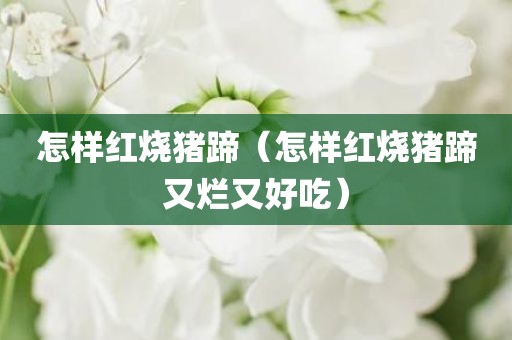怎样红烧猪蹄（怎样红烧猪蹄又烂又好吃）