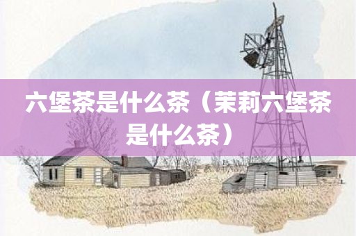 六堡茶是什么茶（茉莉六堡茶是什么茶）