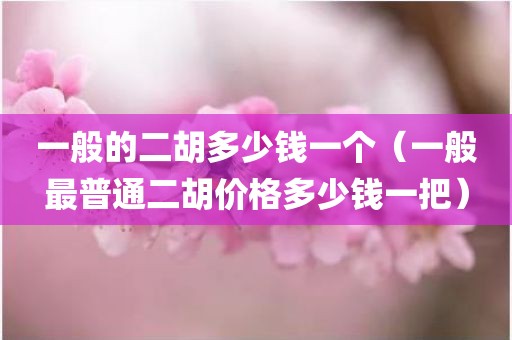 一般的二胡多少钱一个（一般最普通二胡价格多少钱一把）