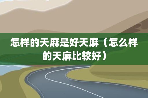 怎样的天麻是好天麻（怎么样的天麻比较好）