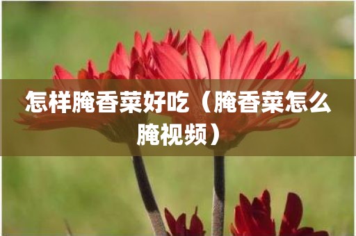 怎样腌香菜好吃（腌香菜怎么腌视频）