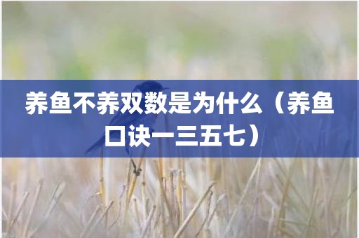 养鱼不养双数是为什么（养鱼口诀一三五七）