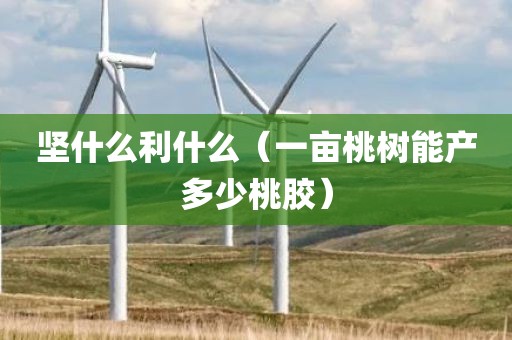 坚什么利什么（一亩桃树能产多少桃胶）