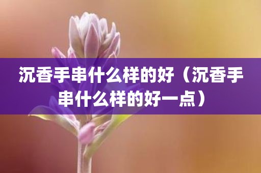 沉香手串什么样的好（沉香手串什么样的好一点）