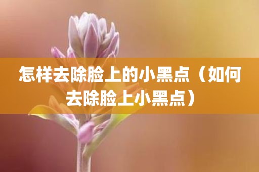 怎样去除脸上的小黑点（如何去除脸上小黑点）