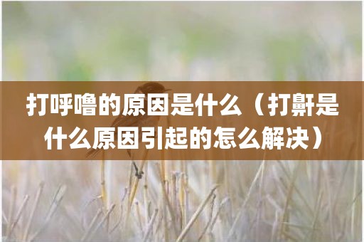 打呼噜的原因是什么(打鼾是什么原因引起的怎么解决)