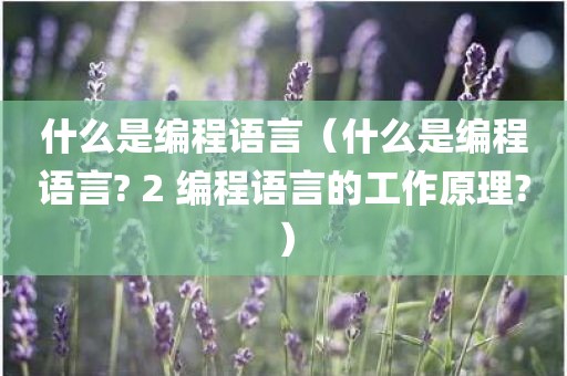 什么是编程语言（什么是编程语言? 2 编程语言的工作原理?）
