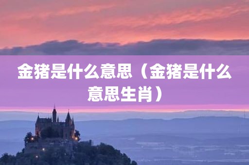 金猪是什么意思（金猪是什么意思生肖）