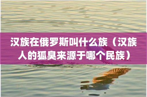 汉族在俄罗斯叫什么族（汉族人的狐臭来源于哪个民族）