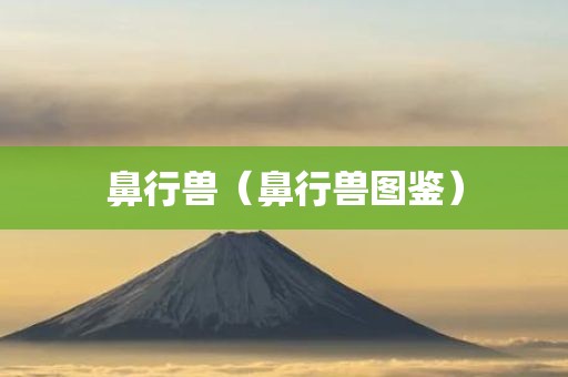 鼻行兽（鼻行兽图鉴）