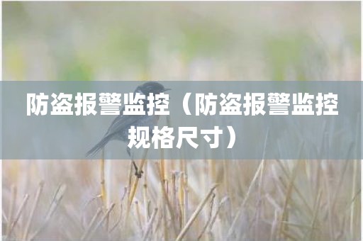 防盗报警监控（防盗报警监控规格尺寸）
