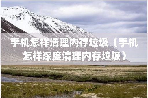 手机怎样清理内存垃圾（手机怎样深度清理内存垃圾）