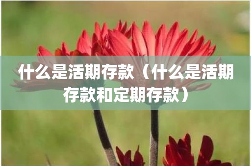 什么是活期存款（什么是活期存款和定期存款）