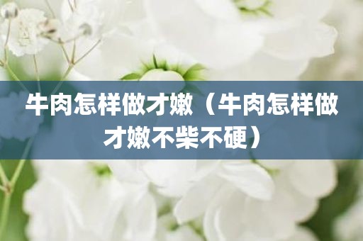牛肉怎样做才嫩（牛肉怎样做才嫩不柴不硬）