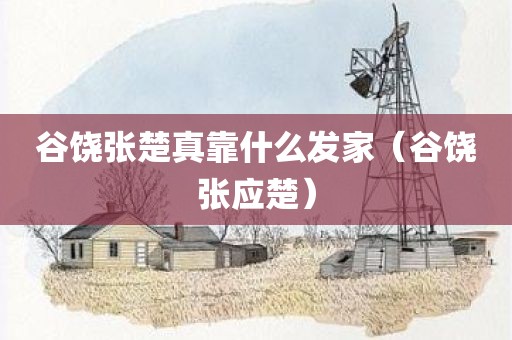 谷饶张楚真靠什么发家（谷饶张应楚）