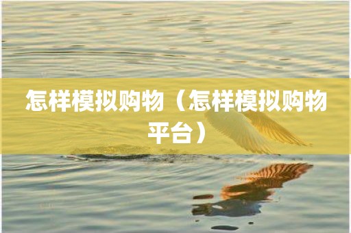 怎样模拟购物（怎样模拟购物平台）