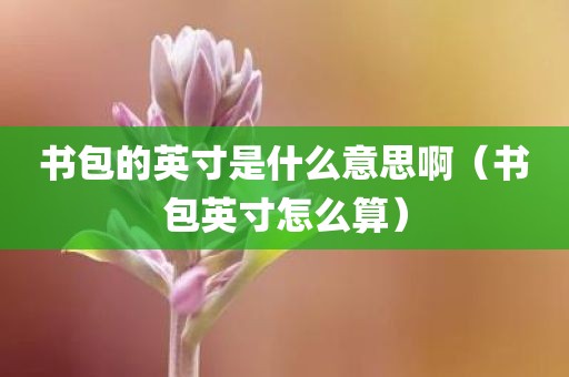 书包的英寸是什么意思啊（书包英寸怎么算）