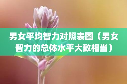 男女平均智力对照表图（男女智力的总体水平大致相当）