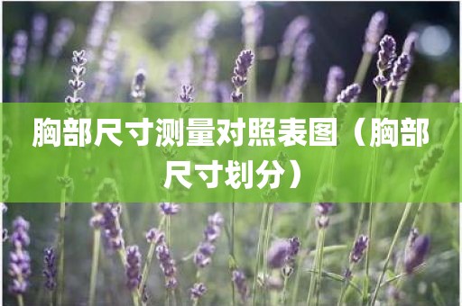 胸部尺寸测量对照表图（胸部尺寸划分）