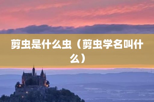 剪虫是什么虫（剪虫学名叫什么）