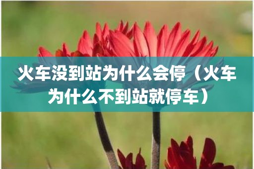 火车没到站为什么会停（火车为什么不到站就停车）