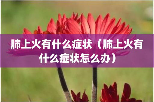 肺上火有什么症状（肺上火有什么症状怎么办）