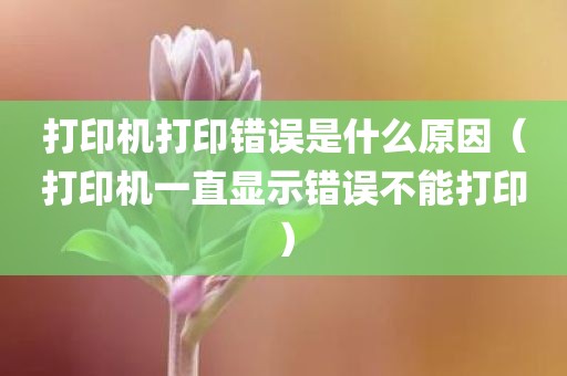 打印机打印错误是什么原因(打印机一直显示错误不能打印)