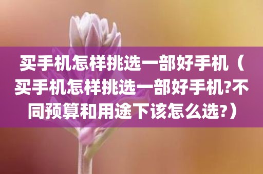 买手机怎样挑选一部好手机（买手机怎样挑选一部好手机?不同预算和用途下该怎么选?）