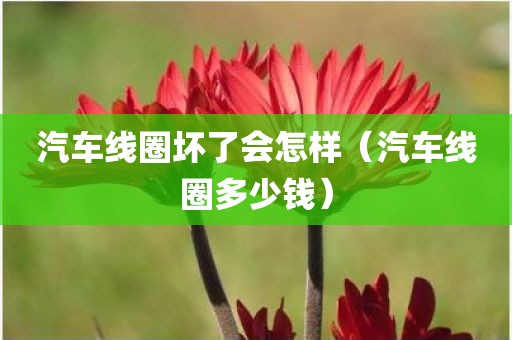 汽车线圈坏了会怎样（汽车线圈多少钱）