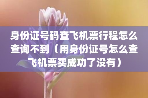 身份证号码查飞机票行程怎么查询不到（用身份证号怎么查飞机票买成功了没有）