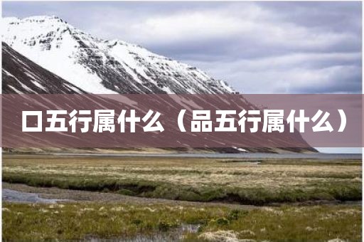 口五行属什么（品五行属什么）